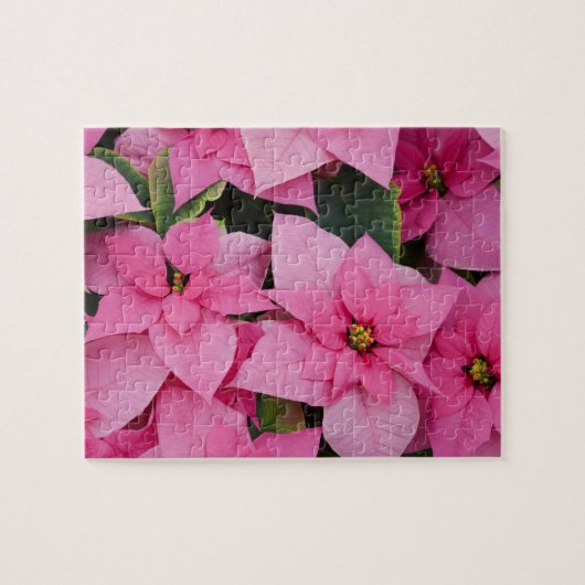 Puzzle États-Unis, Washington, Woodinville, Molbak's Nurs (Horizontal)