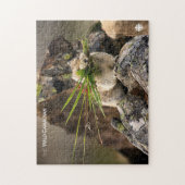 Puzzle Été - American Pica (Vertical)