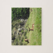 Puzzle Étiquettes de la Nouvelle-Zélande (Vertical)