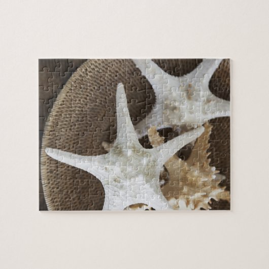 Puzzle Étoiles de mer dans un panier (Horizontal)