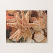 Puzzle Étoiles de mer séchées vendues comme souvenirs (Horizontal)