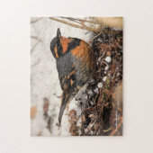 Puzzle Étonnant oiseau-chanteur à la grive variée dans la (Vertical)