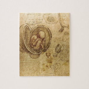 Puzzle Étude de foetus de bébé par Leonardo da Vinci