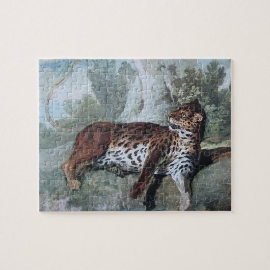 Puzzle Étude d'un léopard (par Jean-Baptiste Oudry) (Horizontal)