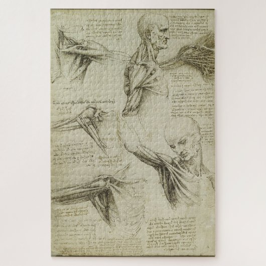 Puzzle Études anatomiques de l'épaule -Leonardo da E2 (Vertical)