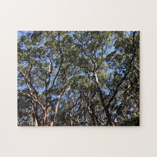 Puzzle eucalypse (Horizontal)