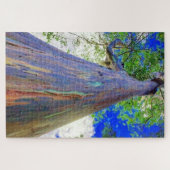 Puzzle Eucalyptus arc-en-ciel (Horizontal)