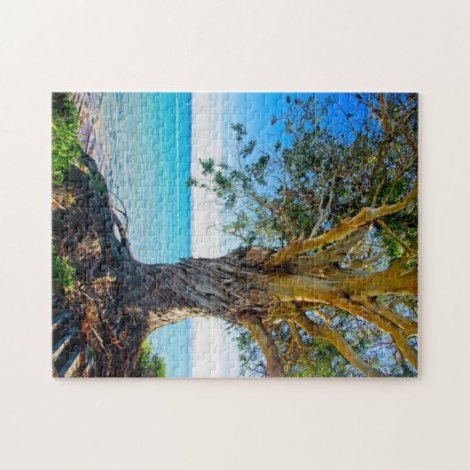 Puzzle Eucalyptus du Pacifique (Horizontal)
