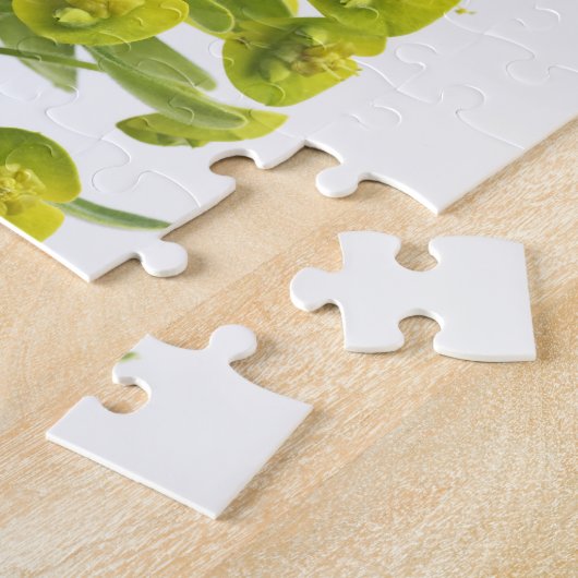 Puzzle Euphorbe (Côté)