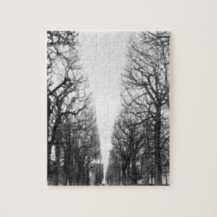 Puzzle Europe, France, Paris. Arbres d'hiver, Marco Polo
