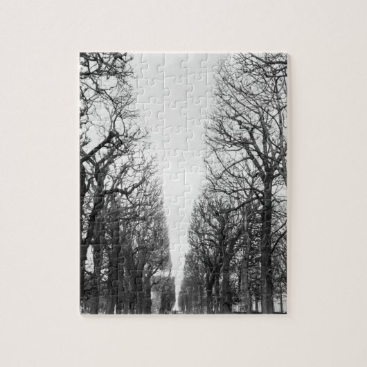 Puzzle Europe, France, Paris. Les arbres d'hiver, Marco P (Vertical)