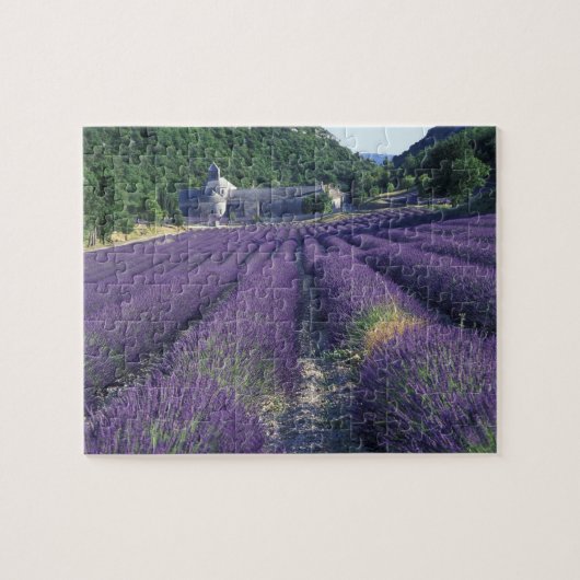 Puzzle Europe, France, Provence. Champs de Lavander (Horizontal)