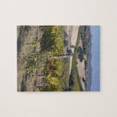 Puzzle Europe, Italie, Ombrie, près de Montefalco, Vignob (Horizontal)