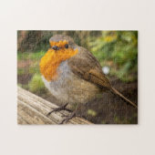 Puzzle européen Robin Jigsaw (Horizontal)