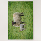 Puzzle Ewe et agneau (Vertical)