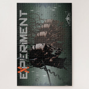 PUZZLE EXPÉRIENCE