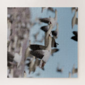 Puzzle Exploser dans le ciel de Socorro (Horizontal)