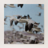 Puzzle Exploser dans le ciel de Socorro (Vertical)