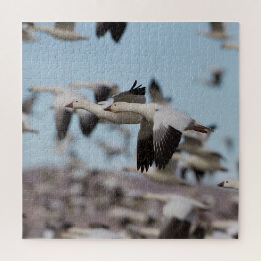 Puzzle Exploser dans le ciel de Socorro (Vertical)