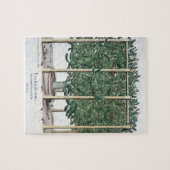 Puzzle Eystettensis indica de Ficus, du 'Hortus Eystet (Horizontal)