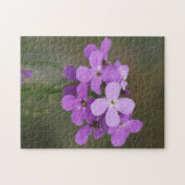 Puzzle F19 Fleurs sauvages violettes Fusée des dames (Horizontal)