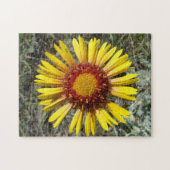 Puzzle F1 Gaillardia fleur sauvage jaune (Horizontal)