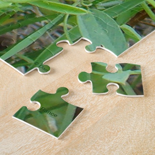 Puzzle F2 Abee sauvage sur Fleur sauvage pourpre (Côté)
