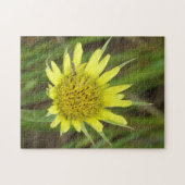 Puzzle F41 Jaune Barbebouc Fleur Sauvage (Horizontal)
