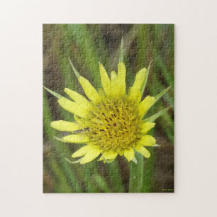 Puzzle F41 Jaune Barbebouc Fleur Sauvage