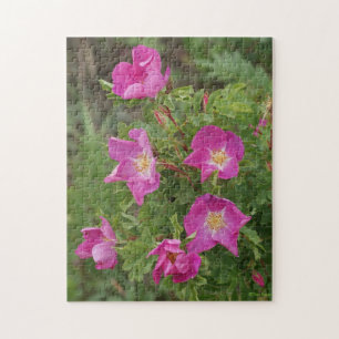 Puzzle F46 Roses sauvages