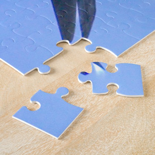 Puzzle F-14 TOMCAT "BOLTER" (16x20 pouces) (Côté)