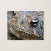 Puzzle face crapaud (Horizontal)