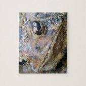 Puzzle face crapaud (Vertical)