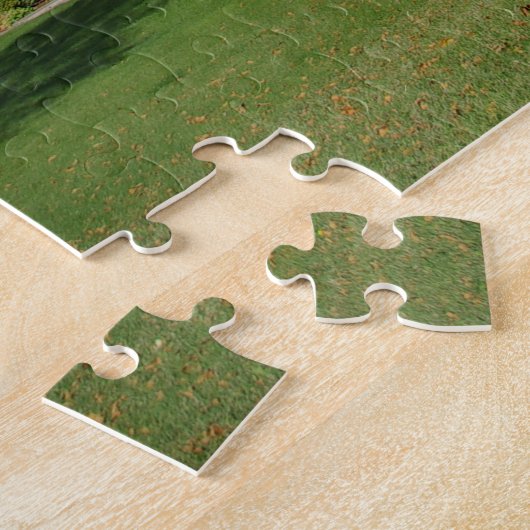 Puzzle Fairlawn Mansion (Côté)