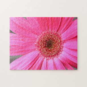 Puzzle Faisal rose chaud