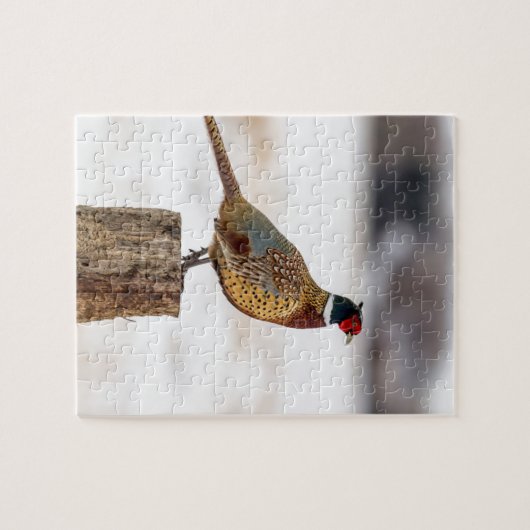Puzzle Faisan (Horizontal)