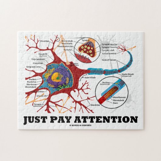 Puzzle Faites attention (Neuron / Synapse) (Horizontal)