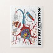Puzzle Faites attention (Neuron / Synapse) (Vertical)