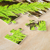 Puzzle Faits saillants d'un séquoia botanique (Côté)