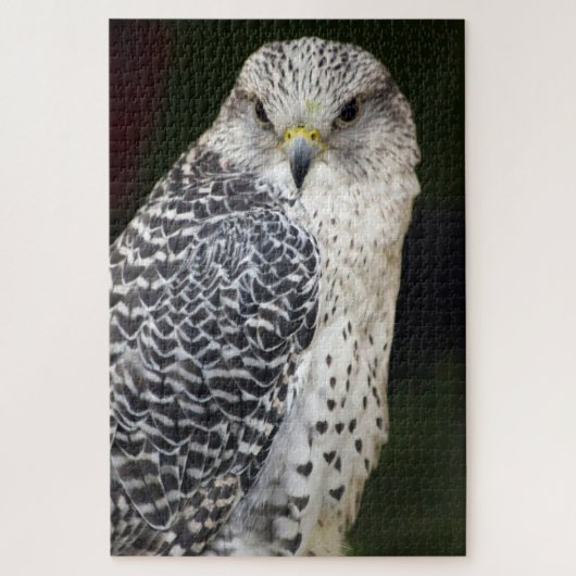 Puzzle Falcon (Vertical)