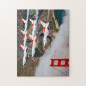 Puzzle FALCON DE COMBAT F-16C (11x14 POUCES) (Vertical)