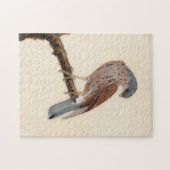 Puzzle Falcon Hen Kestrel | William Lewin (Horizontal)