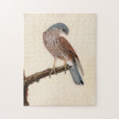 Puzzle Falcon Hen Kestrel | William Lewin (Vertical)