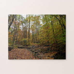 Puzzle Fall Creek à Laurel Hill State Park Pennsylvania