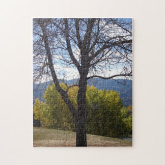 Puzzle Fall Foliing