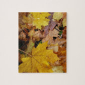 Puzzle Fallen Maple Feuille Jaune Automne Nature (Vertical)