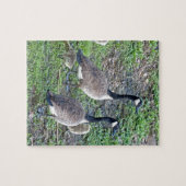 Puzzle Famille canadienne d'oies (Horizontal)