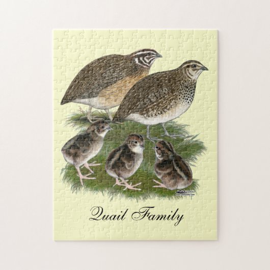 Puzzle Famille de cailles Coturnix (Vertical)