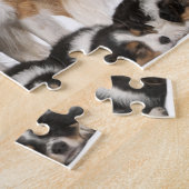 Puzzle Famille de collie frontalière (Côté)