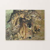 Puzzle Famille de crapaud (Horizontal)